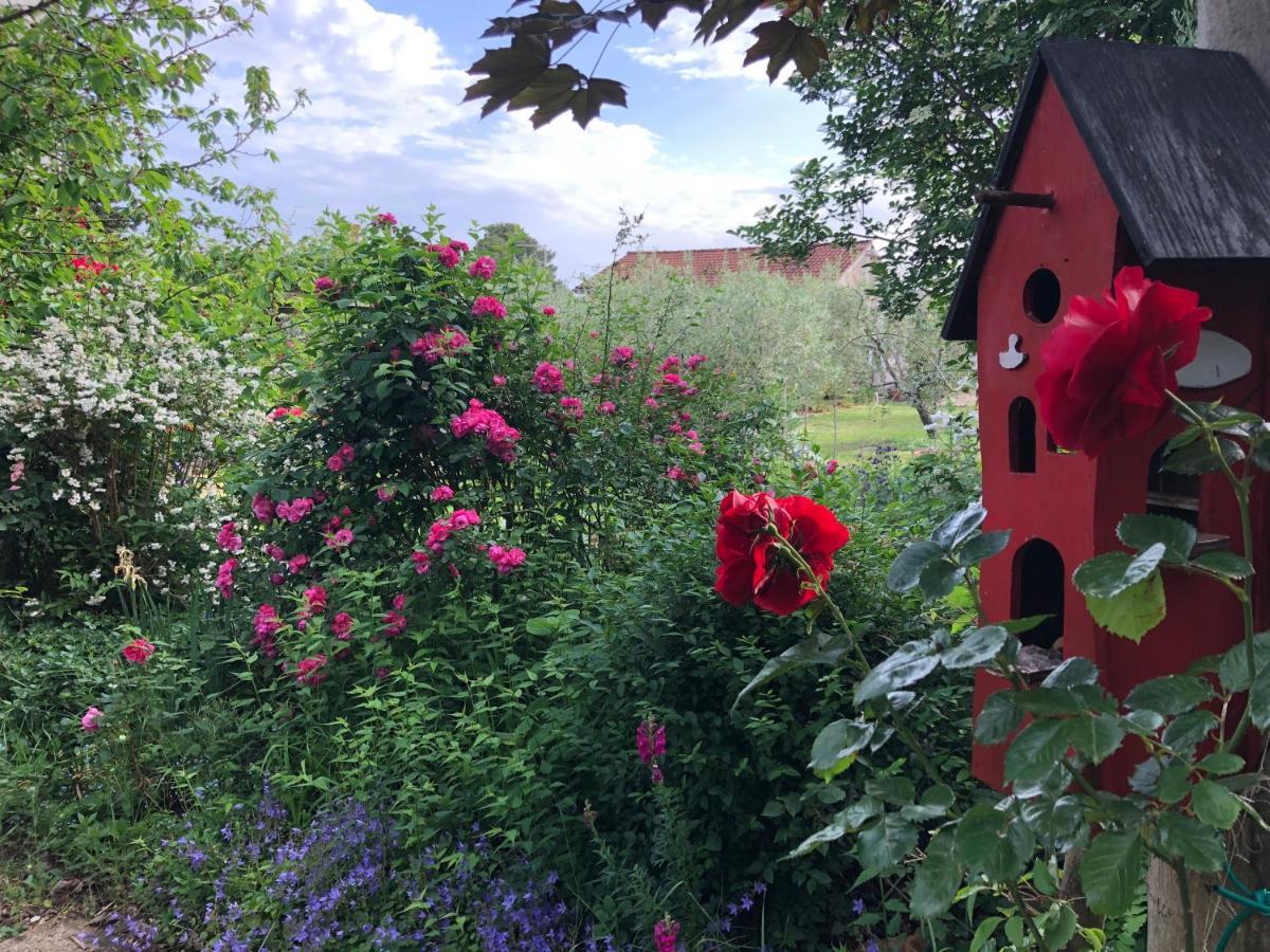 Apartmani Dubasnica Malinska Exteriör bild